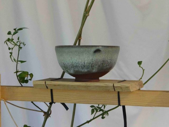 bol vert manon clouzeau