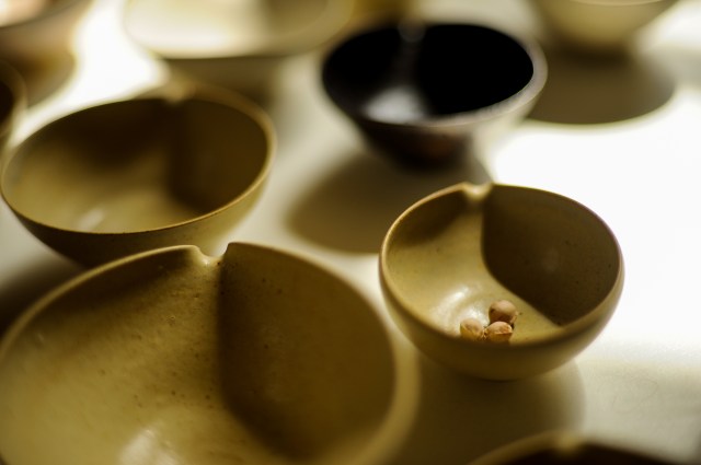 manon clouzeau photo de brice orjebin 1