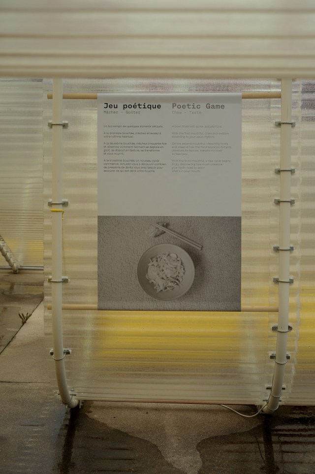 manon clouzeau photo de brice orjebin 56