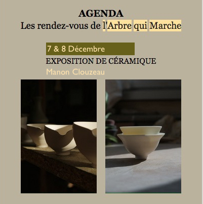EXPO ARBRE QUI MARCHE - c